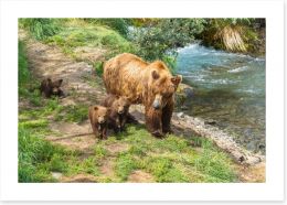 Grizzly cubs Art Print SL0027