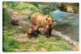 Grizzly cubs Stretched Canvas SL0027