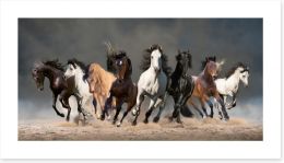 Eight galloping horses Art Print WAP0440