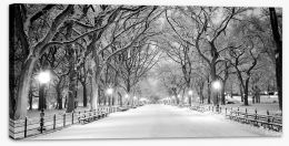Snowy Central Park panoramic Stretched Canvas WAP0583