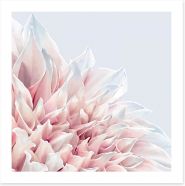 Soft pink dahlia Art Print 101032800