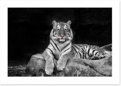 Black and White Art Print 101258551