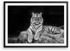 Easy tiger Framed Art Print 101258551