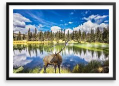 Red deer by the lake Framed Art Print 102287021