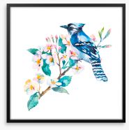 Birds Framed Art Print 102456016
