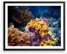 Underwater Framed Art Print 103514436