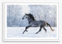 Galloping through the snow Framed Art Print 103985525