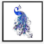 Peacock in ultramarine Framed Art Print 104100494