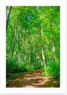 Forests Art Print 104651146