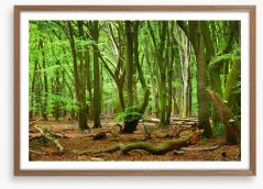 Forests Framed Art Print 104709289
