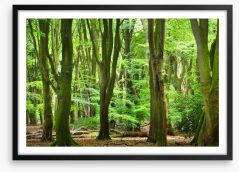 Forests Framed Art Print 104709295