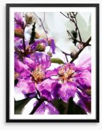 Purple petals Framed Art Print 107205428