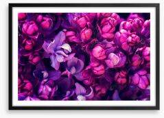 Lilac in love Framed Art Print 108289844