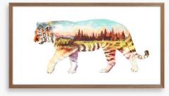 Tiger of the forest Framed Art Print 108368974