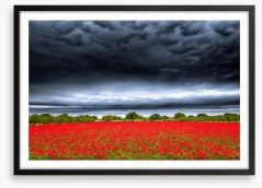 Storm over the poppies Framed Art Print 108974519
