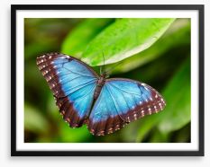 Butterflies Framed Art Print 109204137