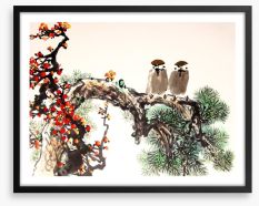 Pine blossom birds Framed Art Print 109279546