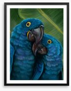 Blue parrot love Framed Art Print 110340298
