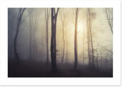 Forests Art Print 111658317