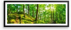 Top of the forest Framed Art Print 113247041