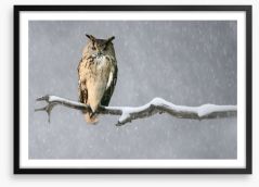 Alone in the snow Framed Art Print 114512563