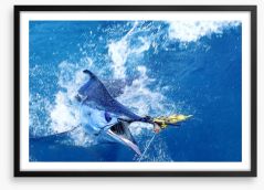 Blue marlin bait Framed Art Print 114517933