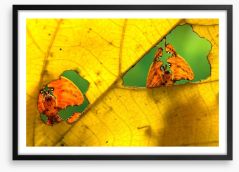 Insects Framed Art Print 120928791