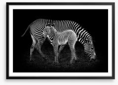 Earning your stripes Framed Art Print 121307929