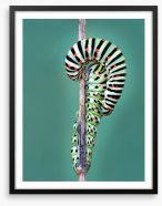 Insects Framed Art Print 121393180