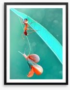 Insects Framed Art Print 121416227
