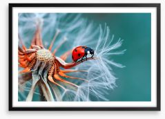 Insects Framed Art Print 121417091
