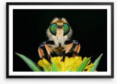 Insects Framed Art Print 121430946