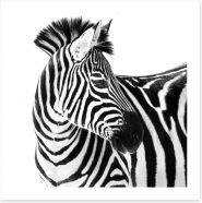 Up close and zebra Art Print 121577688