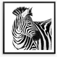 Up close and zebra Framed Art Print 121577688