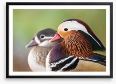 Birds Framed Art Print 122055053