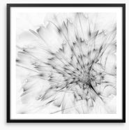 Monochrome bloom Framed Art Print 122147359