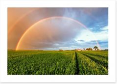 Rainbows Art Print 122389814