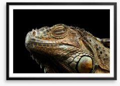 Reptiles Framed Art Print 122453835