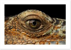 Reptiles Art Print 122453896