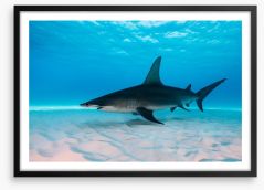 Shark on the sand Framed Art Print 122480149