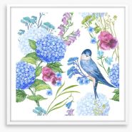 Blue bird hydrangeas Framed Art Print 122503706