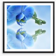 Time to reflect 3 Framed Art Print 123063367
