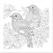 Color me birds Art Print 123556790