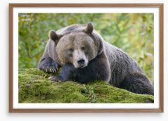 Don't wake the bear Framed Art Print 123686769
