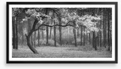 The wood from the trees Framed Art Print 124323695