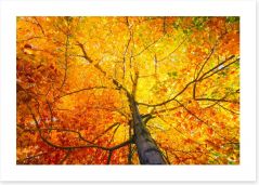Autumn Art Print 125035029