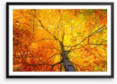 Autumn Framed Art Print 125035029