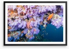 Lilac coral life Framed Art Print 125080816