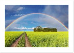 Rainbows Art Print 125640226