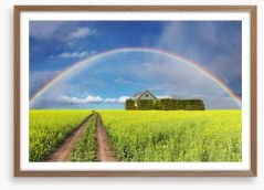Rainbows Framed Art Print 125640226